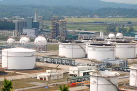 Phu Yen to create favourable conditions for FDI projects