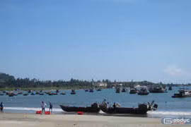 Da Nang keen to become major fishing centre 