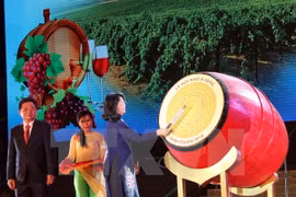 Grapes and Wine Festival opens in Ninh Thuan