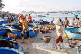 Ecosystem in environmental incident-affected provinces recovers