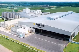 Long An: Over 900 new firms formed in six months 