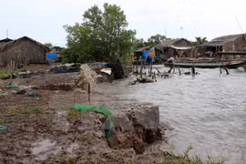 WB evaluates environmental project in central coastal cities 