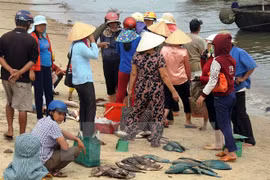 Cause of mass fish deaths probed