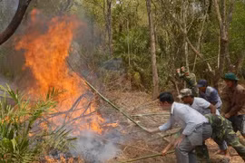 Dry weather raises fire alert across nation