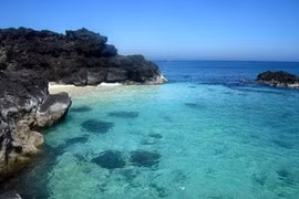 Quang Ngai province to establish sea reserve