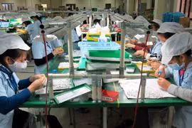 RoK willing to assist Vietnam’s SMEs in sci-tech