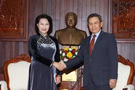 NA backs cooperation between Vietnamese, Lao fronts