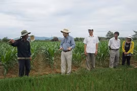 Agricultural centre to offer more support