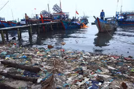Marine ecosystems at risk of further damage 