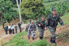 Vietnam-China land border committee convenes sixth meeting