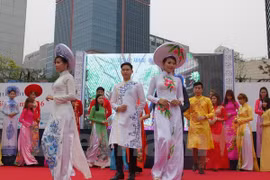 Festival introduces Vietnamese culture in RoK 