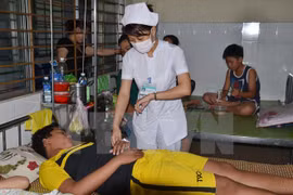 Health officials inspect Da Nang’s dengue fever prevention 