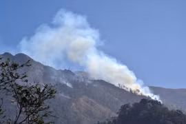Forest fire breaks out in Hoang Lien Son National Park during Tet