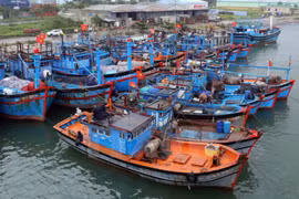 Fishing fleet in Thanh Hoa boosts capacity