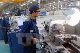 Businesses optimistic about Vietnam economy