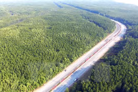 Vietnam has over 14 million hectares of forest: ministry 