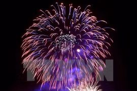 HCM City to mark National Day with firework, art shows