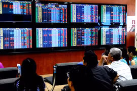 Vinamilk fall extends stock market gloom 