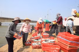 Numerous supports proposed for pollution-affected fishermen
