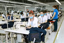 Vietnam looks forward to EVFTA benefits