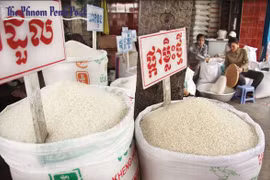 Cambodia’s rice export sees decrease in H1 