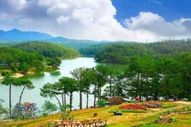 Da Lat’s homestay service attractive with unique design