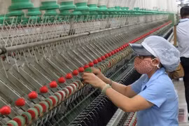 Indian firm wants to supply garment-textile machines for Vietnam
