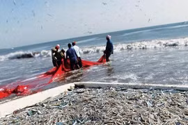 Thailand signs IUU combating agreement with EU, ILO 