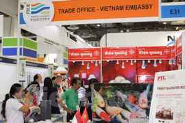 Vietnamese firms introduce green construction products in Singapore