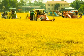 Can Tho to add more new-style rural communes