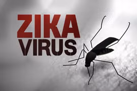 Vietnam seeks early detection of Zika infections