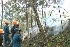 Tay Ninh rolls out drastic solutions to forest fires 