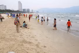 Marine environment in four central provinces basically safe 