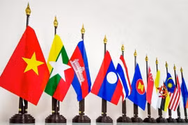 Vietnam contributes to ASEAN’s development: Diplomat 