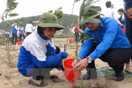 Hanoi becomes greener in lunar New Year