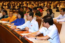 NA deputies must vote against overspending planned budget 