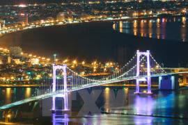 Singaporean firms keen on Da Nang market