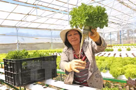 EU - potential market for Vietnamese farm produce