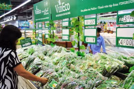 Vietnam, RoK convene trade connectivity conference
