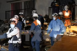 Vietnam sympathises with Japanese over earthquakes 