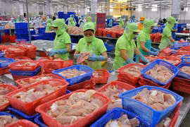 Tra fish prices bounce back after long slump