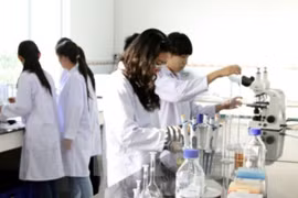 Da Nang okays first nano-tech project