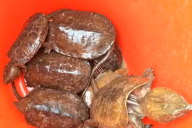 Workshop raises awareness of not using rare wildlife products 