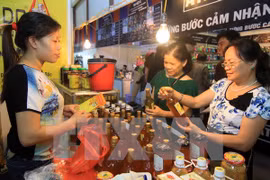 Hau Giang hosts 2016 Mekong Delta trade fair