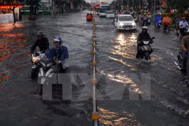  French company wants to invest in HCM City’s infrastructure