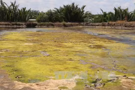 MRC: drought, saline encroachment continue in Mekong Delta