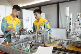 Profession-oriented higher education project under review