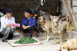 Hanoi responds to World Rabies Day 