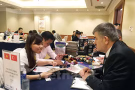 Vietnam-Turkey trade expected to reach 3 bln USD in 2016