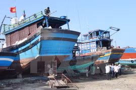 Vietnam, Thailand join hands in fighting illegal fishing